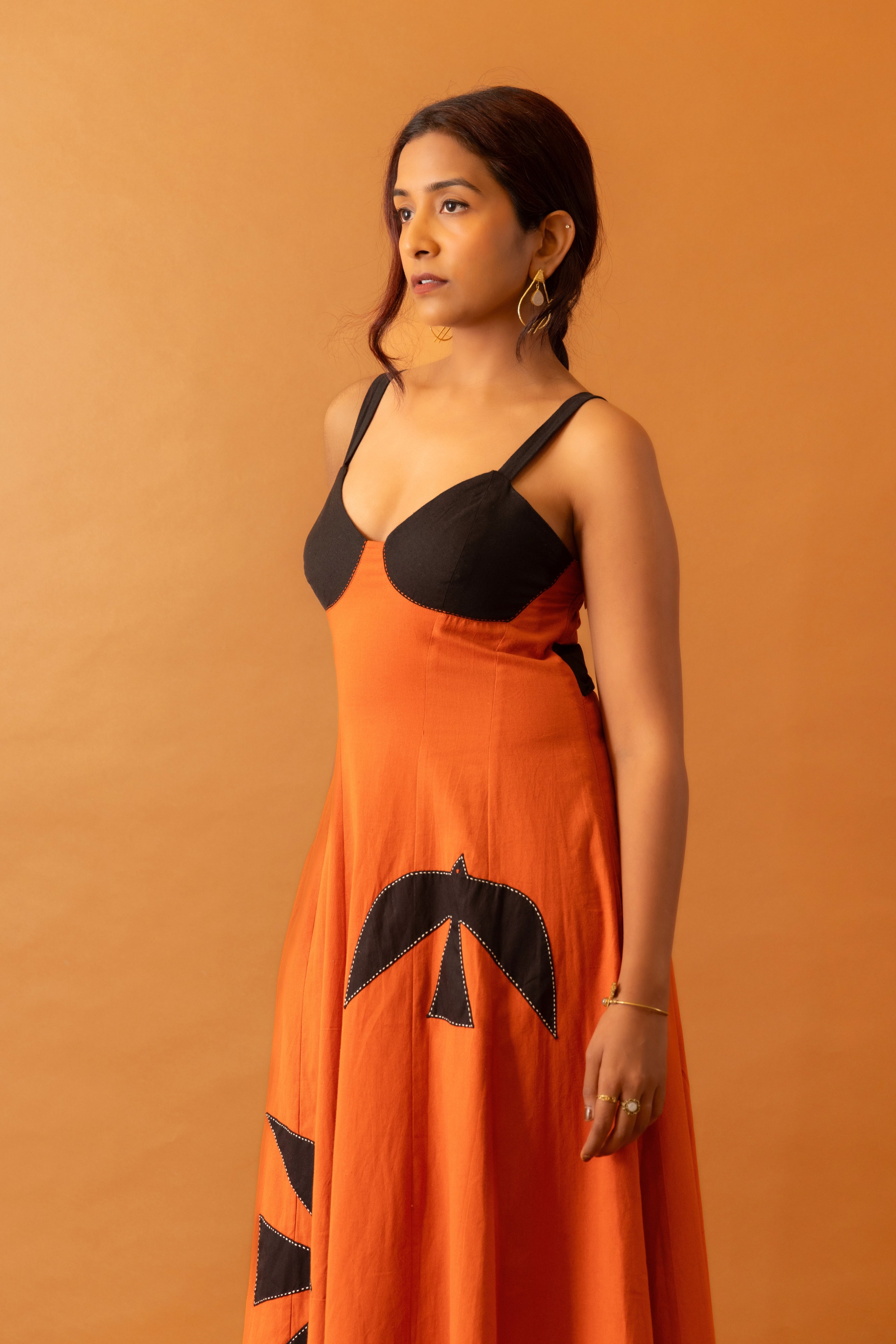 Chidiya Dress image 2