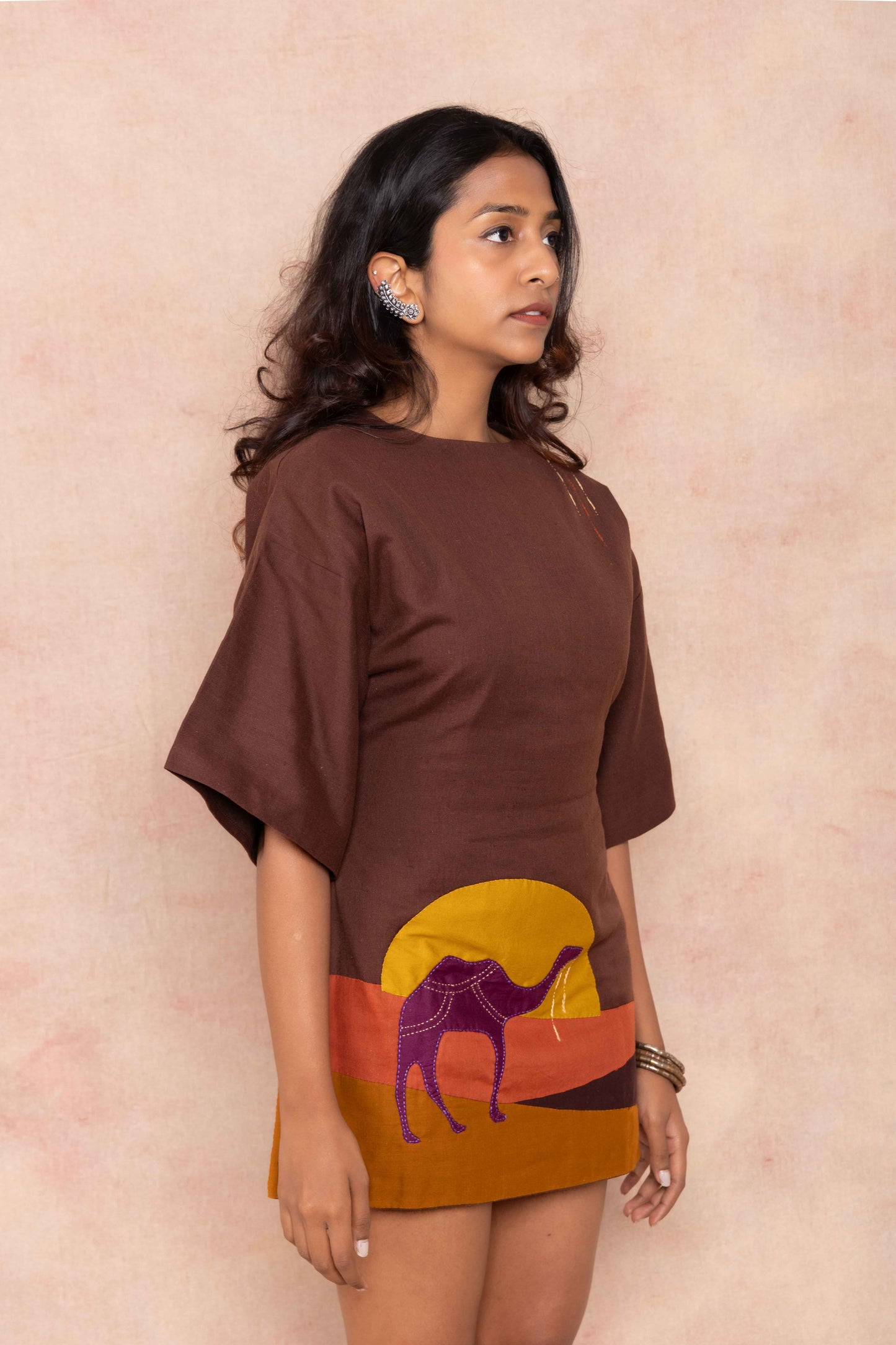 Brown Dress with handwork details  